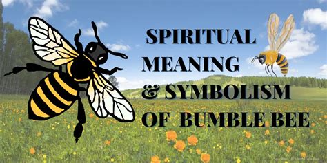 The Connection between Magic Square Bumblebees and Numerology